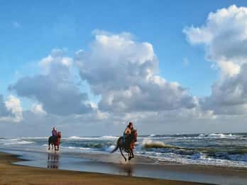 Roma a cavallo: Ostia antica e la spiaggia con l'aperitivo