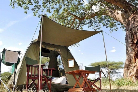 Safari privado en camping de 4 días