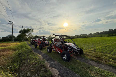 Bali: ATV or Buggy Adventure With Beach & Rice Fields Single ATV / Buggy Ride
