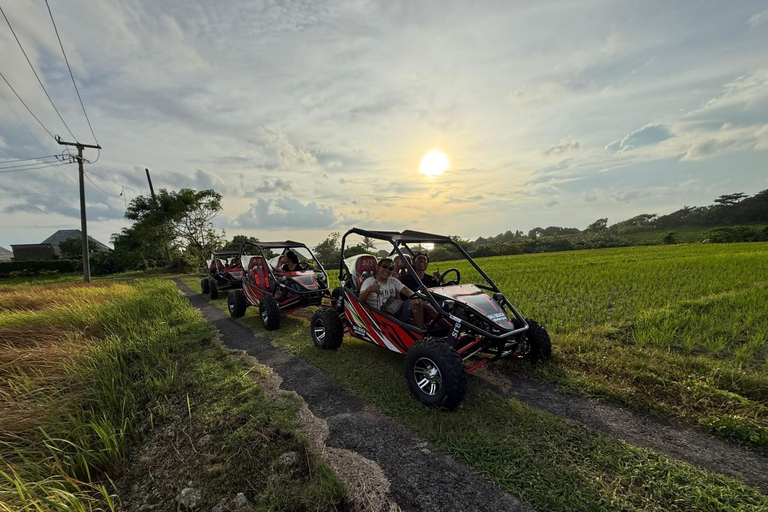 Bali: ATV or Buggy Adventure With Beach & Rice Fields Single ATV / Buggy Ride