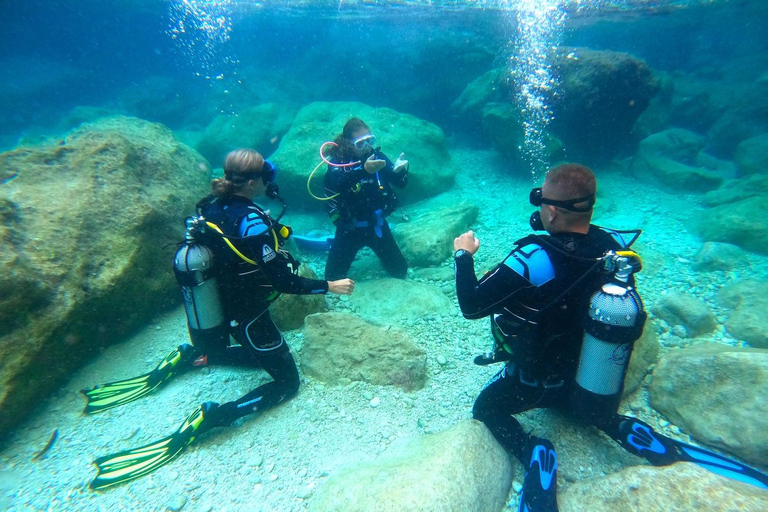 Zakynthos: Scuba Diving Experience with Underwater Photos Double dive discover scuba diving course