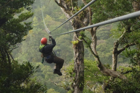 Kigali: 2-Day Nyungwe Canopy Walk, Zipline & Waterfall Tour