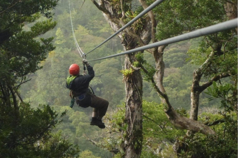 Kigali: 2-Day Nyungwe Canopy Walk, Zipline & Waterfall Tour