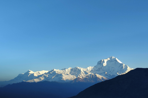 Annapurna View: Short trek to Poonhill-From PokharaAnnapurna View: Short trek to Poonhill