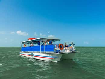 Aventura en la fauna de San Agustín: paseo en barco y tour en kayak