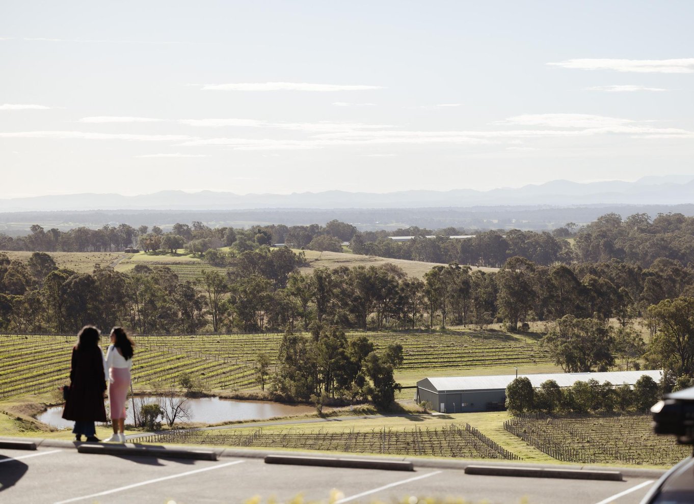 Hunter Valley: Vintur med 2-retters frokost, chokolade og ost