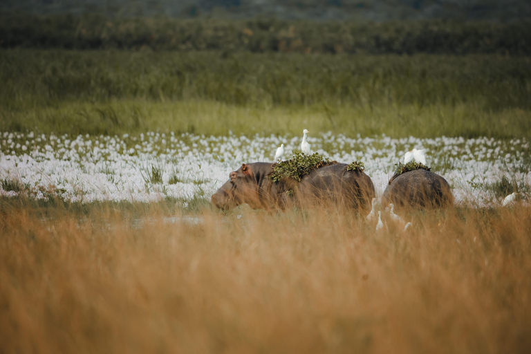 Visit Akagera national park with Passionate Guide