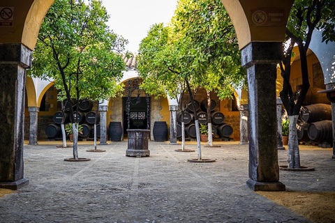 Exclusive Sherry Heritage & Cádiz Bay Experience