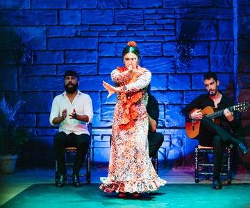 Seville: Baraka Sala Flamenca Show with Drink in Triana