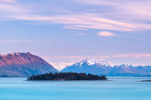 Christchurch : Aoraki/Mt Cook Day Trip with Trotts Garden