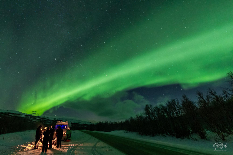 From Tromsø: Northern Lights Chase with Photos and Dinner