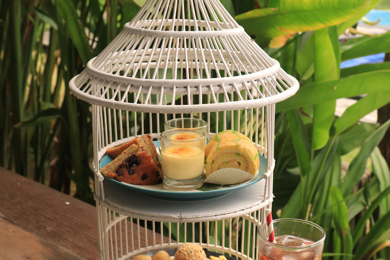 Bali: "Odkrywca" spotyka się z delfinami przy herbacie