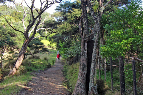 Bay of Islands: Urupukapuka Island Guided Walk Bay of Islands: Urupukapuka Island Guided Walk - Afternoon