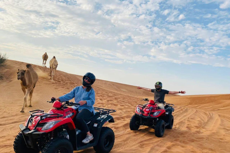 Doha: Inland Sea Tour, 4x4 Desert Safari & All Activities Group Tour with Quad Bike Ride