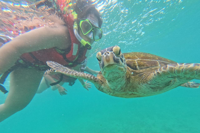 Mirissa: Turtle Snorkeling with Free Pickup Turtle Snorkeling
