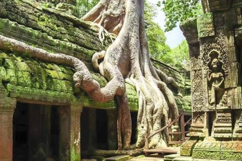 Circuit de 3 jours au lever du soleil à Angkor et à Banteay Srei et Rolous en groupe