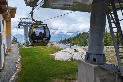 جولة ويسلر، جندول سي تو سكاي، شلال شانون وبحيرة جريناجعل جولتك خاصة