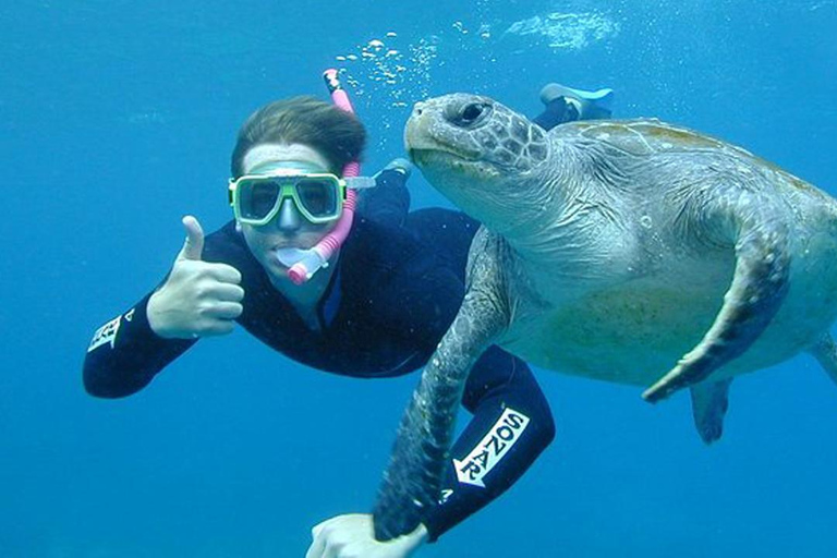 Fantastisk upplevelse: Snorkling med sköldpaddor i Mirissa