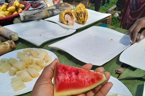 Uganda: Baganda Culture Day Tour with Lunch and Transfers