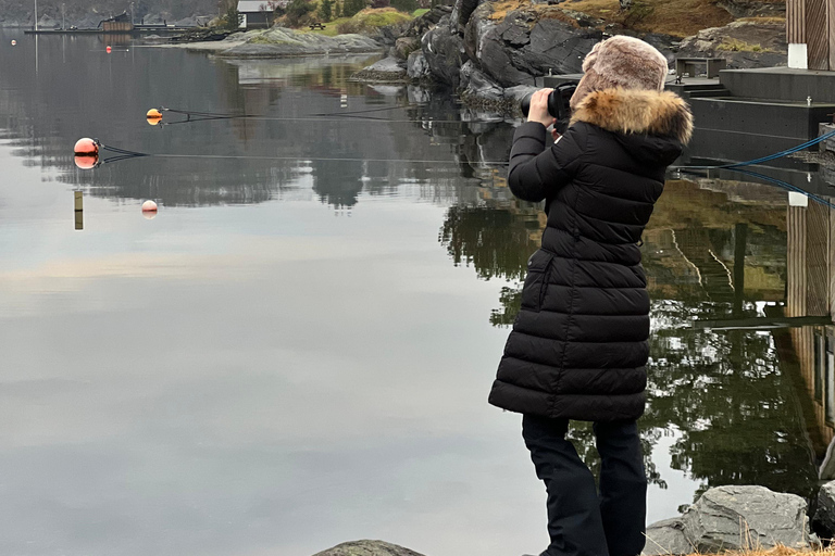Bergen: Hardanger Trip with Food Tasting & Fjord Sauna