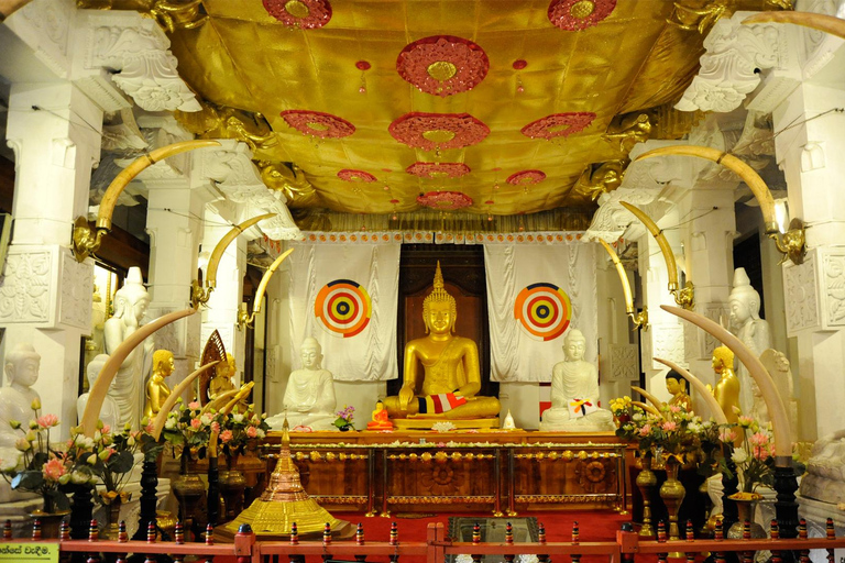 Colombo/Negombo: Sigiriya, Kandy, Ella 3-Day Trip with Train