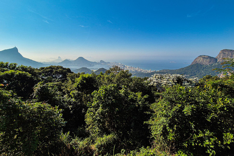 Rio de Janeiro: Botaniska trädgården och Tijuca Forest Jeep TourFrån Barra da Tijuca Hotels: Fransktalande