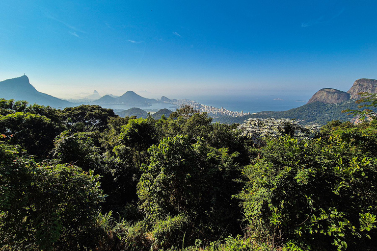 Rio de Janeiro: Botaniska trädgården och Tijuca Forest Jeep TourFrån Barra da Tijuca Hotels: Fransktalande