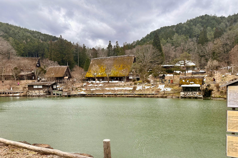 Da Kanazawa/Toyama: Tour di un giorno a Shirakawago e Takayama