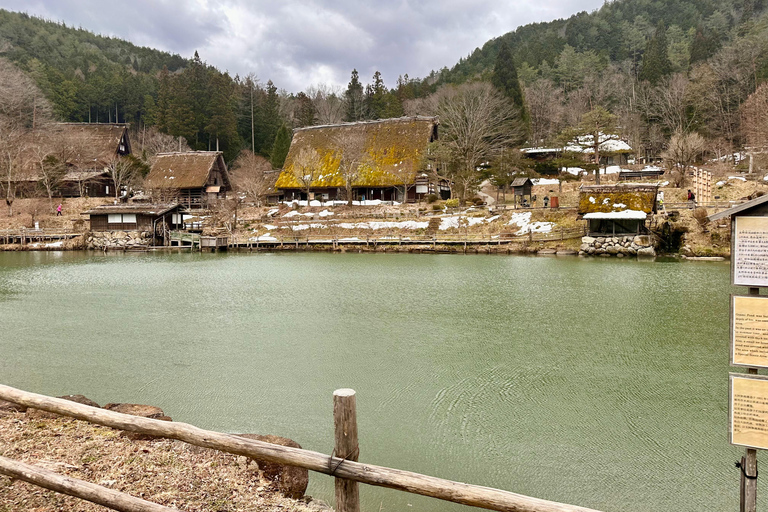 Desde Kanazawa/Toyama: Excursión de un día a Shirakawago y Takayama