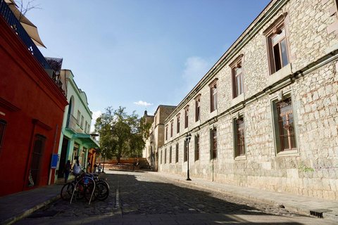 Tour histórico particular em Oaxaca - Melhor avaliação