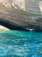 Tortue à Laganas - Hizvo