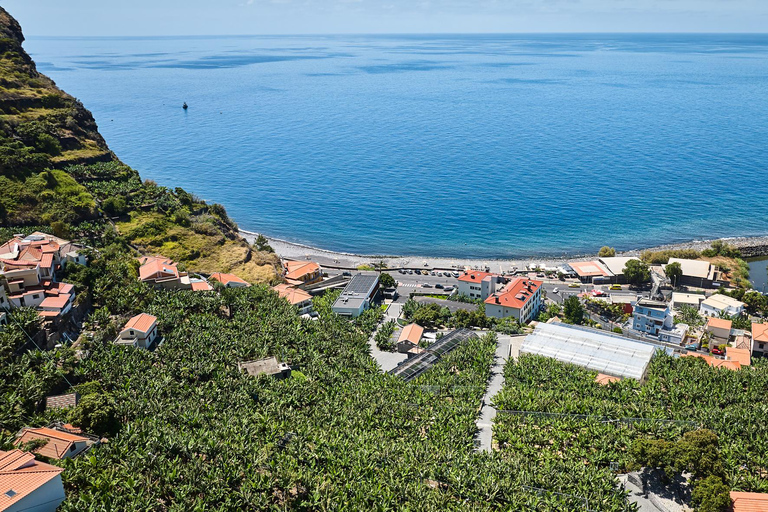 Ponta Do Sol : Visita guiada al Museo del Plátano de Madeira