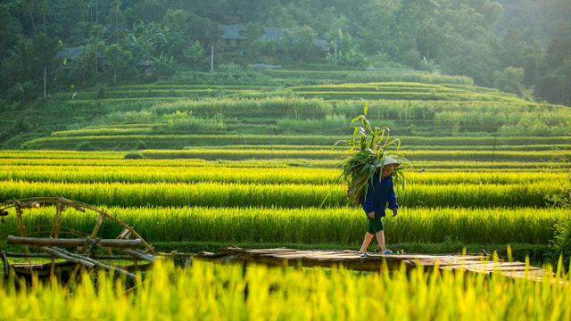 From Hanoi: Full Day Tour Pu Luong ( For monday only )