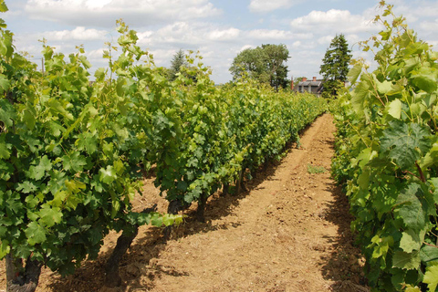 Loire Tal Tour &amp; Weinverkostung Vouvray, Chinon, BourgueilPrivate Wine Tour ohne Mittagessen