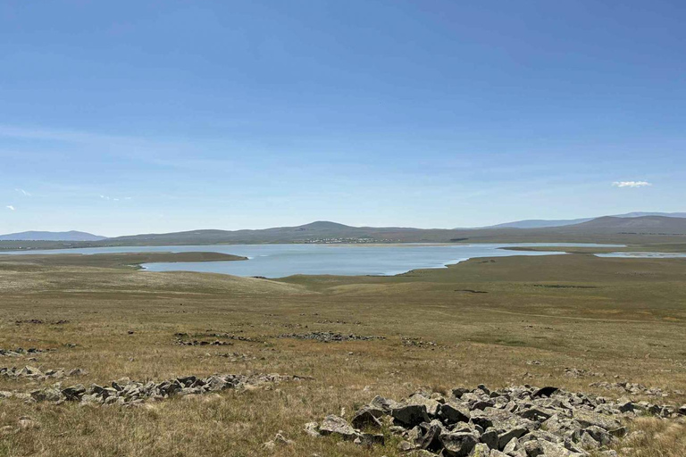 Tbilisi: Birdwatching Tour with Guide
