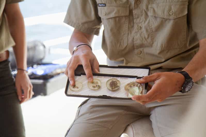 Pearl & Oyster Farm Cruise on Hawkesbury River GetYourGuide