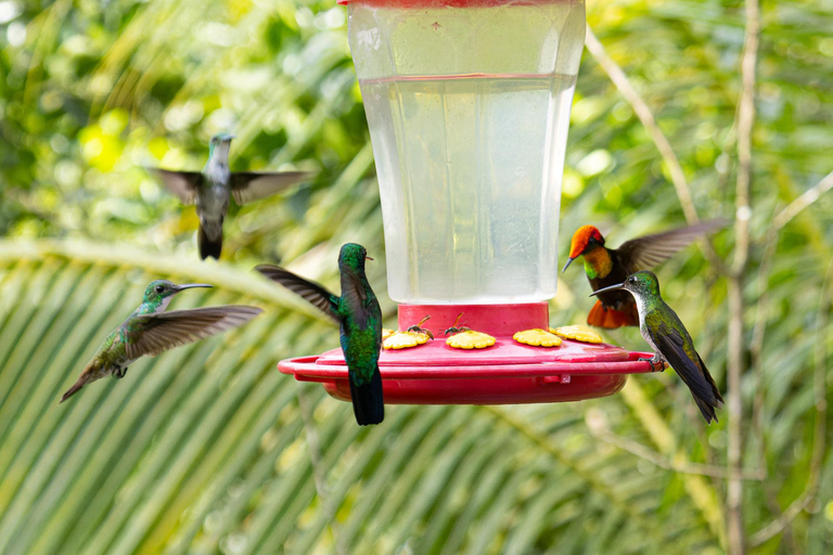 Visita al Jardín del Colibrí y la Piscina Natural