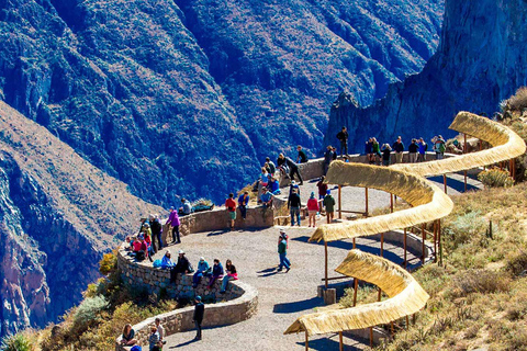 Excursión de 1 día al Cañón del Colca + Aguas Termales