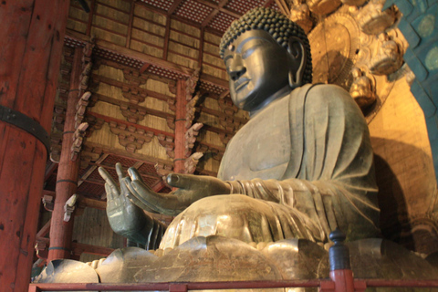 Osaka and Nara Day Tour with Private Transportation