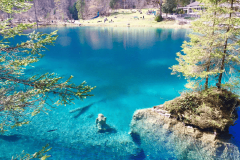 Zúrich: excursión de un día a Lungern, Brienz, Thun, Blausee y Oeschinen.Zurich: excursión de un día a Lungern, Brienz, Thun, Blausee y Oeschinen