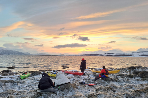 Tromsø: Easy Winter Kayaking Tour with Seal Watching