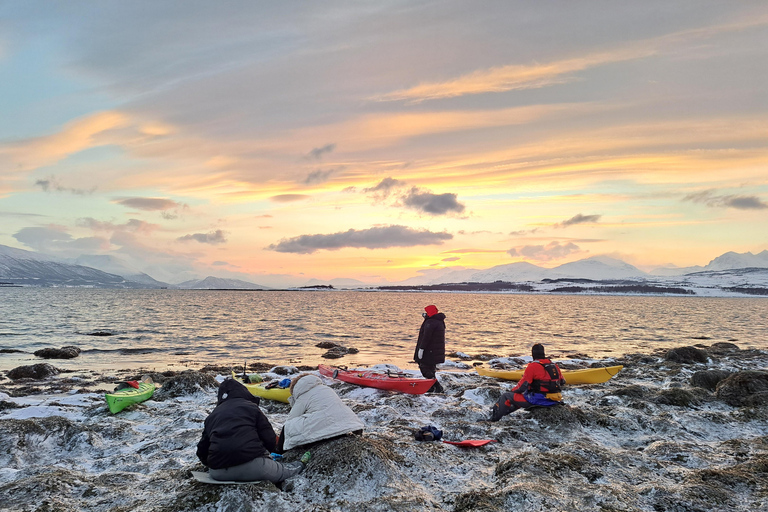 Tromsø: Easy Winter Kayaking Tour with Seal Watching