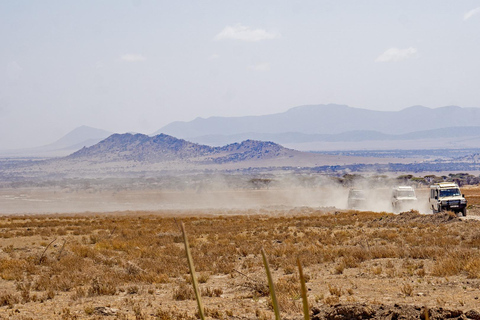 Tanzânia: Safári de 7 dias com acampamento no Serengeti e NgorongoroTanzânia: Safari de 7 dias com acampamento no Serengeti e Ngorongoro