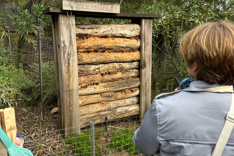 Vanuit Adelaide: Knuffel een Koala en historische Hahndorf Tour