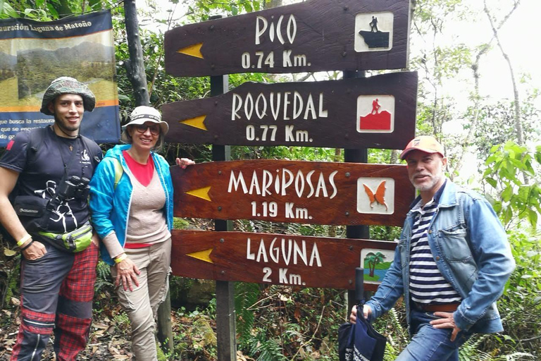 Explore biodiversity in the Chicaque forest Nature Reserve