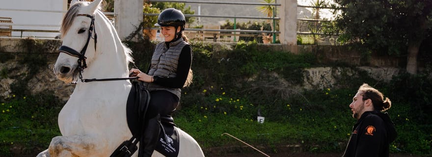 Majorque : excursion au coucher du soleil, spectacle équestre et fauconnerie.