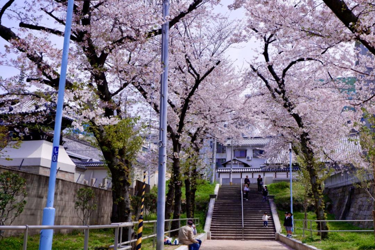 Osaka: Daytime Hanami (Cherry Blossom) and Food Tour