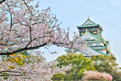 Osaka, Nara i Kioto - 1-dniowa wycieczka z anglojęzycznym kierowcą