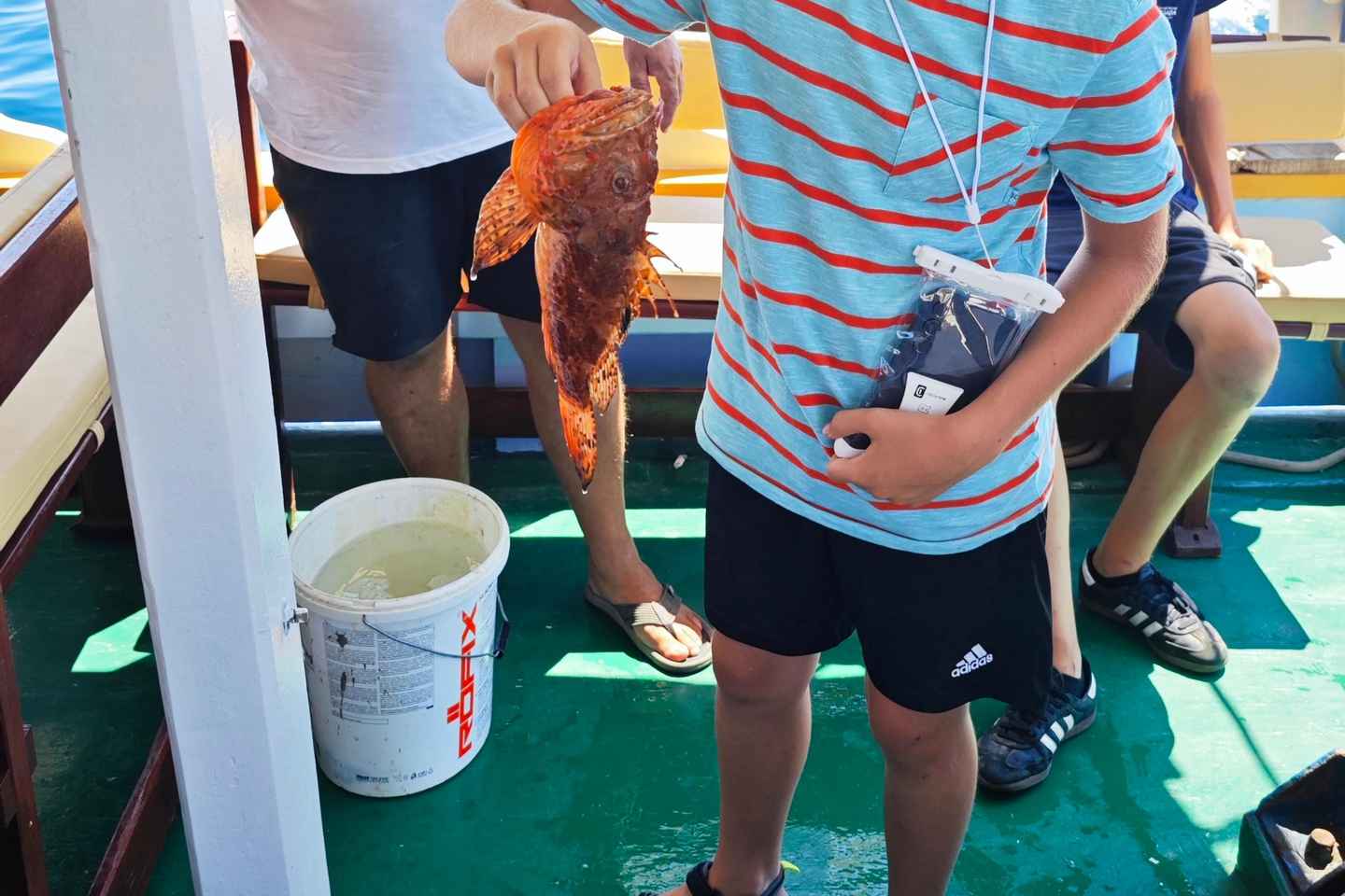 Biograd : Excursion de pêche inoubliable sur l'île de Vrgada