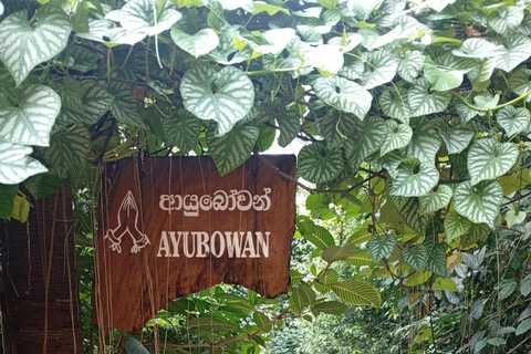 康提：香料园和手工艺人工作室嘟嘟车之旅